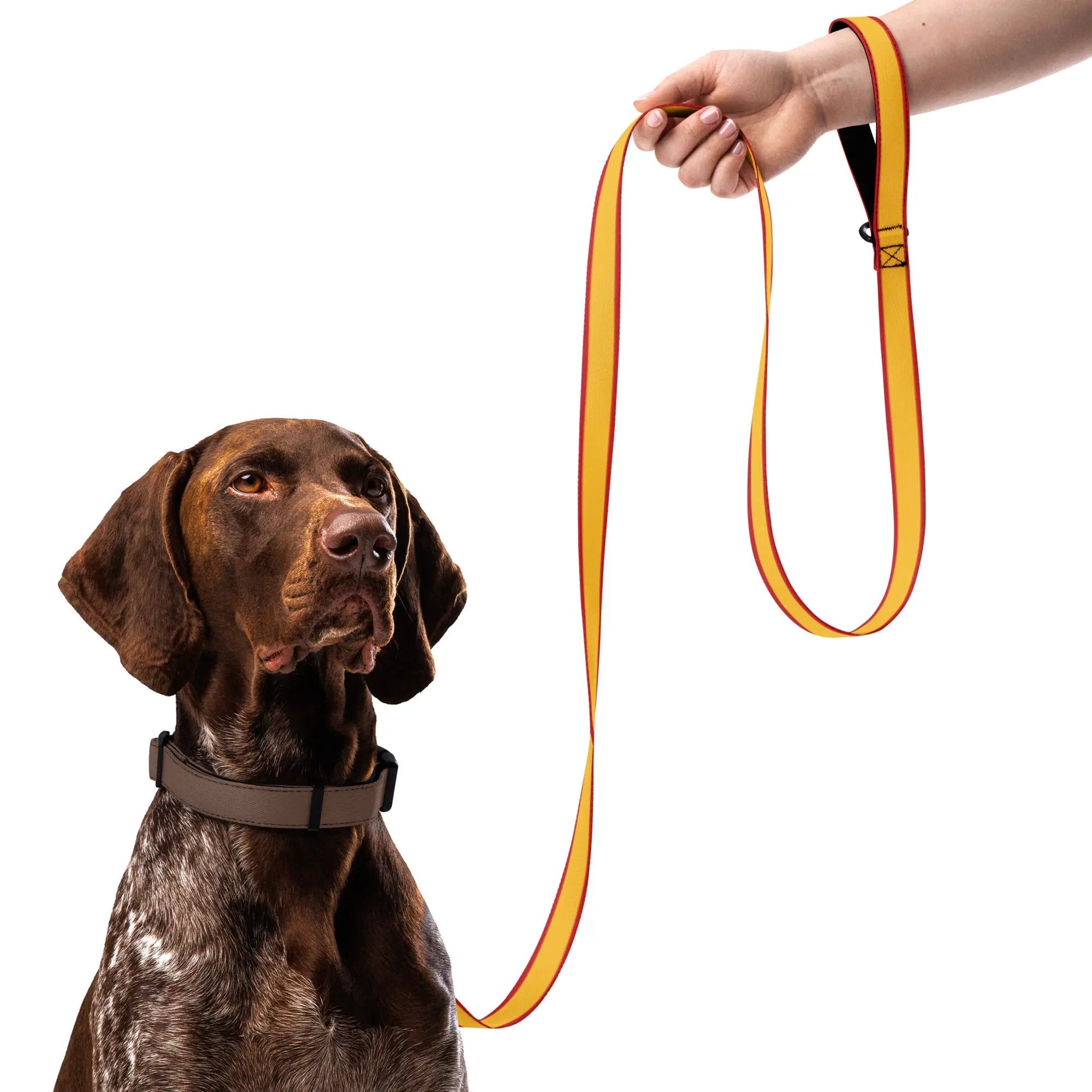 Comprar Correa para mascota Bandera España La Flamenca de Borgoña Bandera España